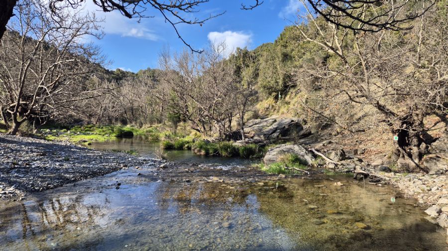 טרק המנליון